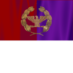 The Republic of Romans