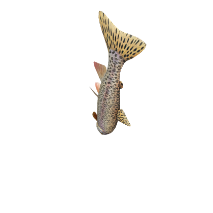 Fish Rifle