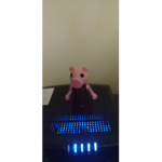 The piggy team and Isabella