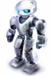 Roblox Bots