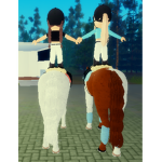 Equine Academy!
