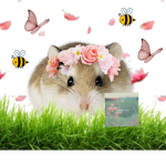 SunflowerGamez's FAN CLUB!