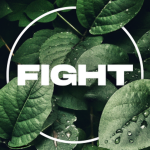 * Fight *