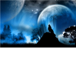 The Spirit Wolves