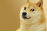 hack rob doge