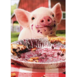 The eatting pigs!!