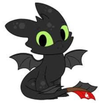 Black dragons CEO