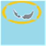 Navy of Augleo