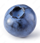 Blueberry family123