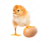 ̘̘̃