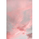 Sky_Pink squad!