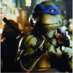 turtle!
