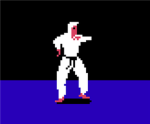 Dancing Ninja Fans