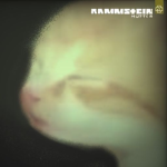 Nidstang
