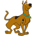 Doge boissssss