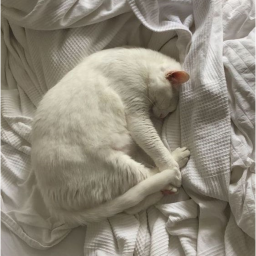 ღ