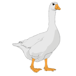 The Chaotic Goose Flock