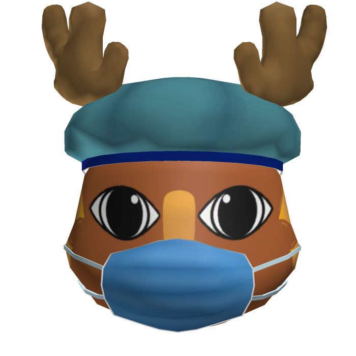 NEW Surgeon | Animal Hospital Anomaly