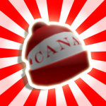 The Canadian Toque Team