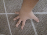 Spider hands studio