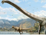 #Dinosaur fan club