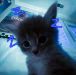 |[weluvcats]|