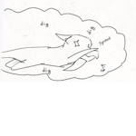 The Wallow Wings