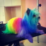 UnicornGamingArmy