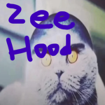 Zee Best Remake OAT