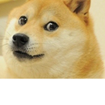 The Good Boys Doge