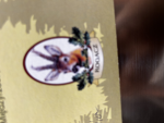 Grupcie besti mordo 123456