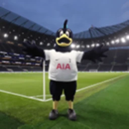 Tottenham 2023/24 icon