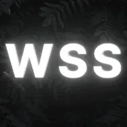 WSS: Dunazamárdi icon
