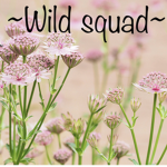 ~Wild sqaud~