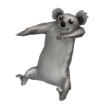 #TeamKoala!