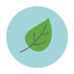 Air Leaf