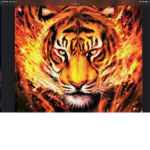 Fire Paws