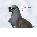 SAVE THE PIGEONS!!!!