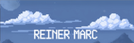 Reiner group
