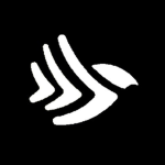 Fly Pakistan RBLX