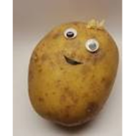 potato's epic group