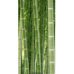Bamboo for life