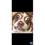 Jonas_gamer