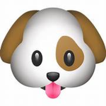 EF DOGS