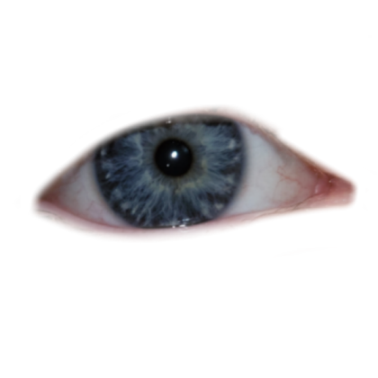 scary eyes Roblox decal