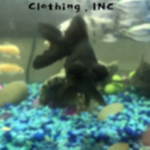 Clothing..Inc