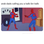 Lais fans