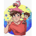 Flamingo Fan Club Support