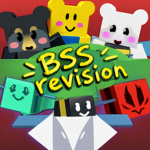 BSS - Revision