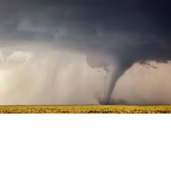 Tornado Survival!